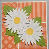 Daisies Thank You Card