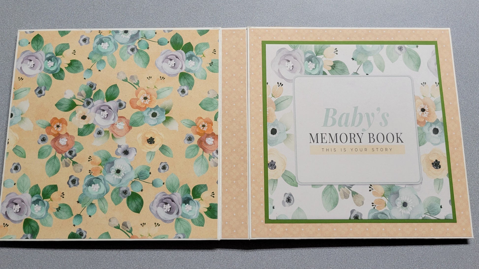Baby's Memory Book Photo Album back and front cover.