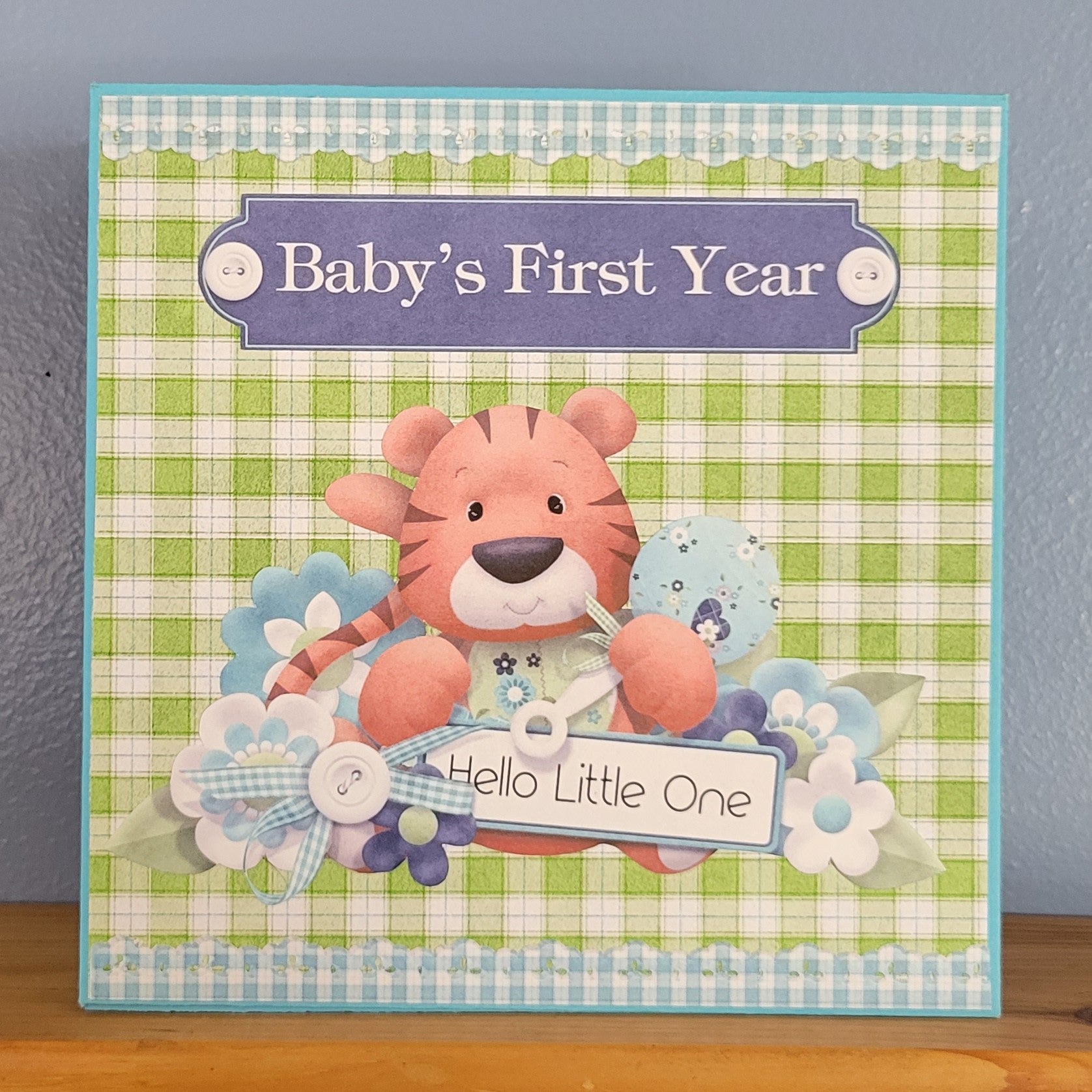 Baby's First Year Boy Accordion front cover.