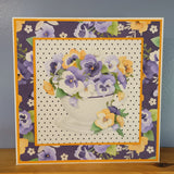 Pansies Photo Album