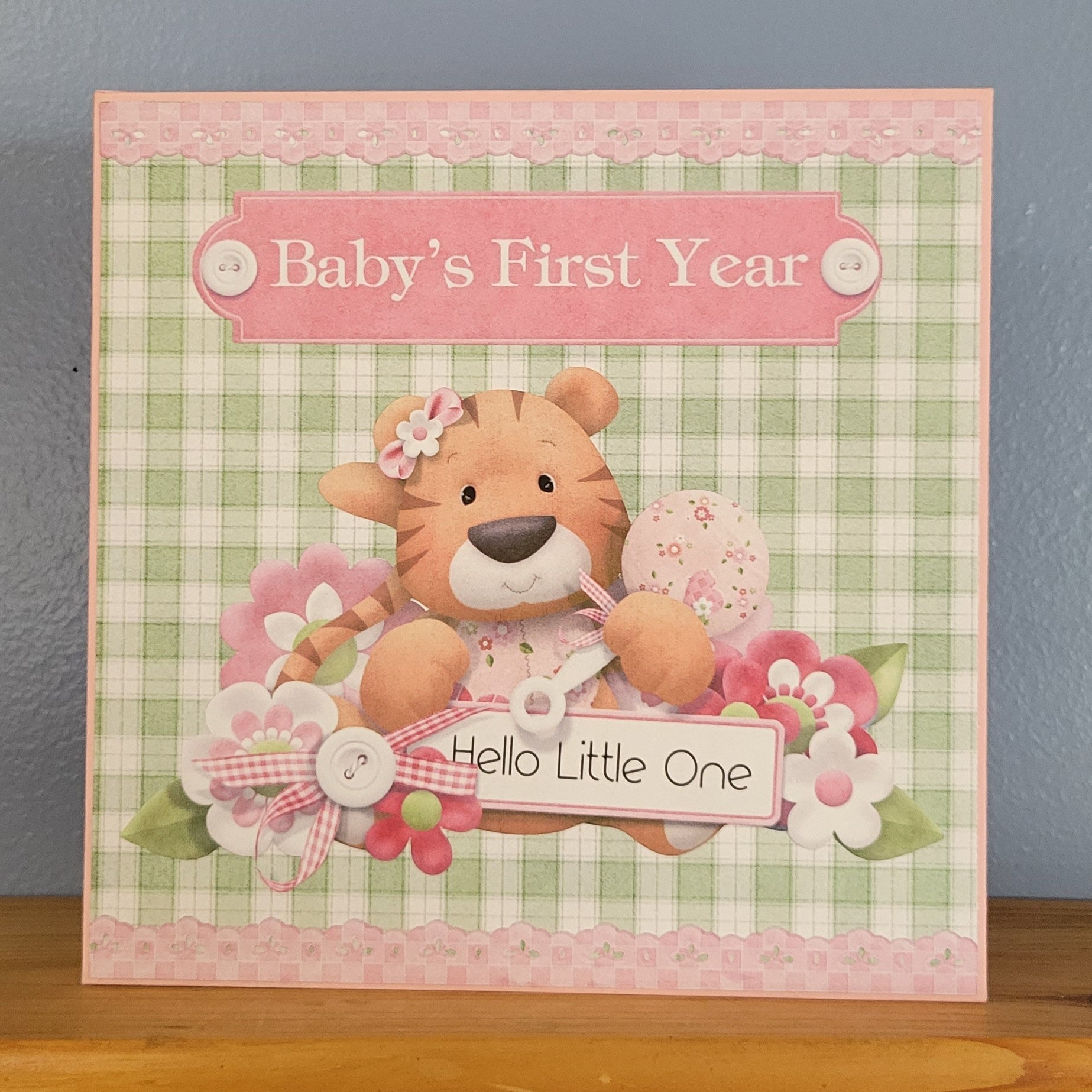 Baby's First Year Girl front cover.