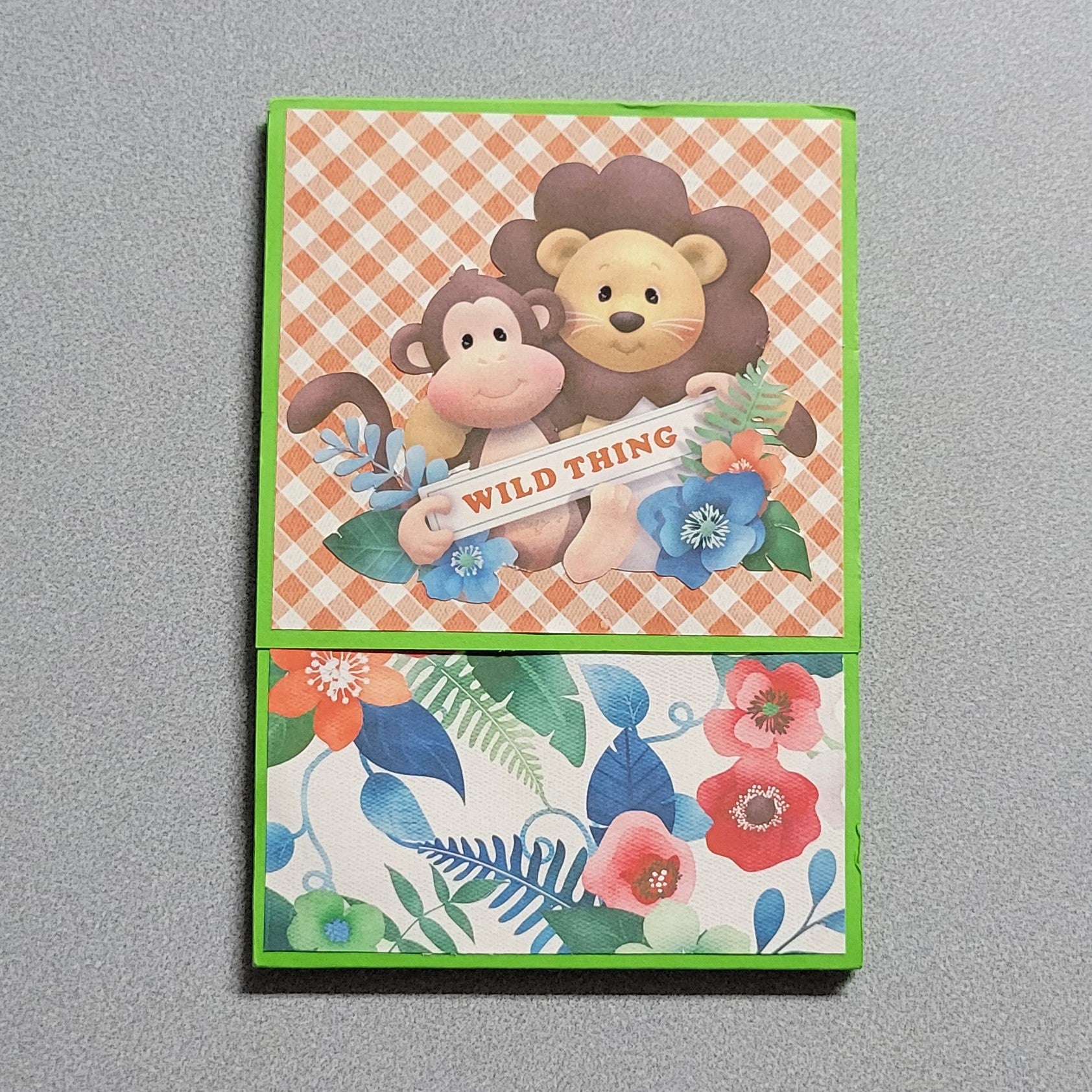 Wild Thing Brag Album front.