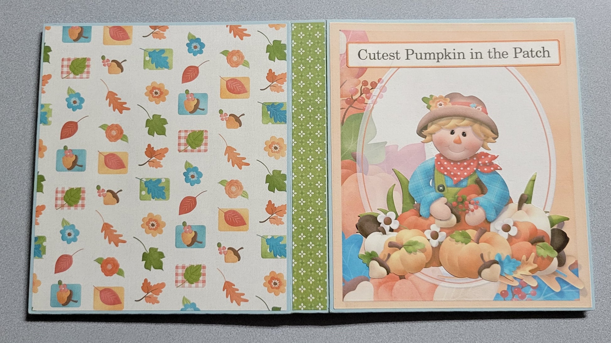 Cutest Pumpkin in the Patch front and back covers.