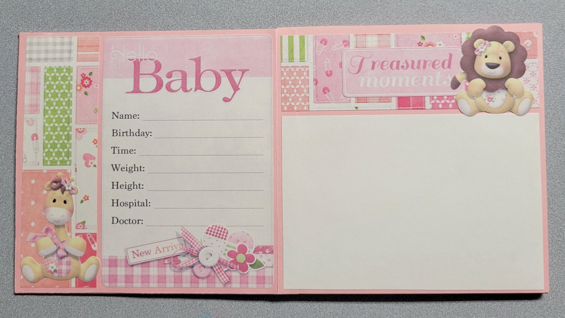 Baby's First Year Girl Accordion Album.