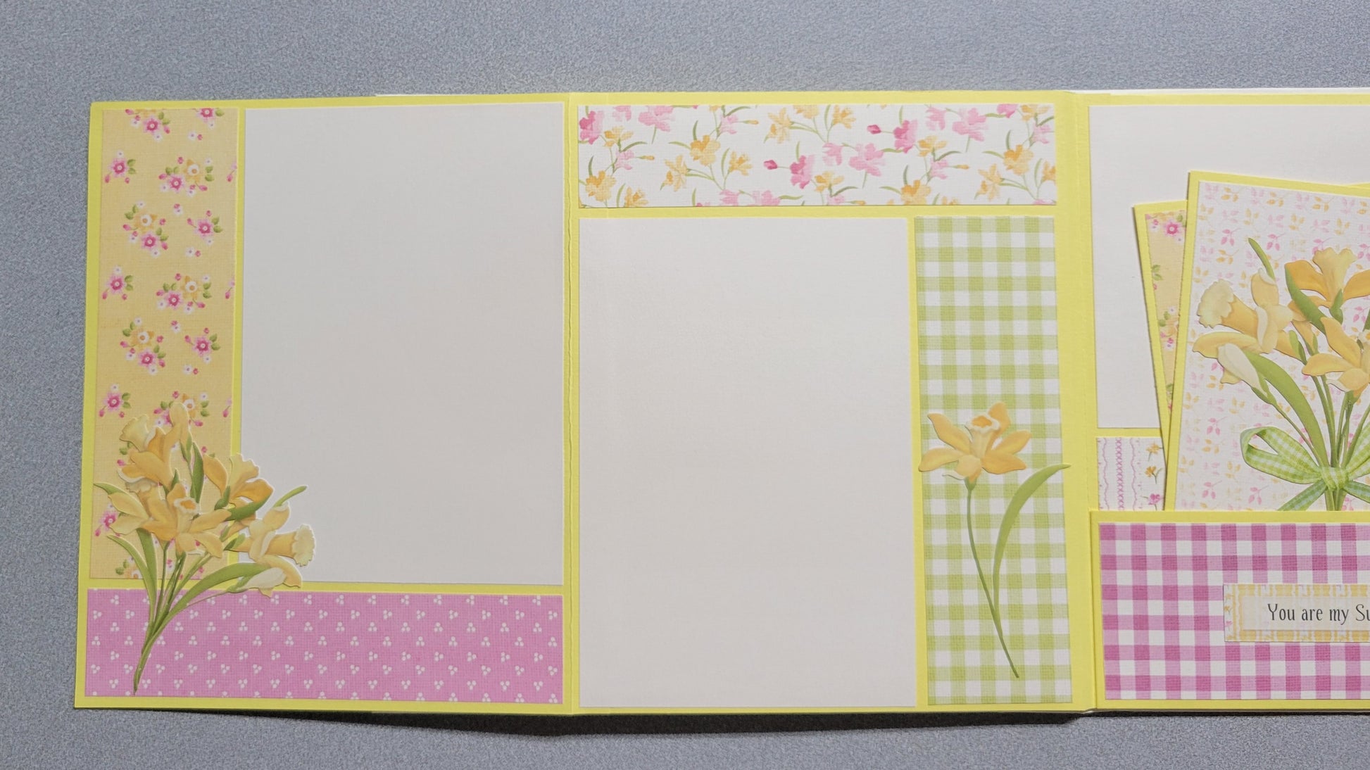 Daffodils in Bloom Photo Album.